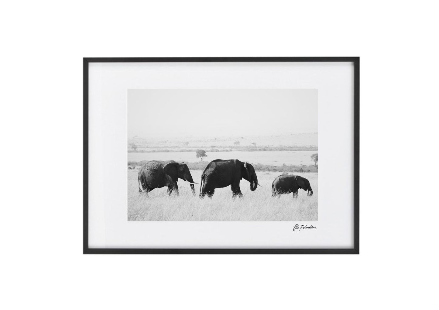 Elephant Print - Elephant Migration - Wall Art