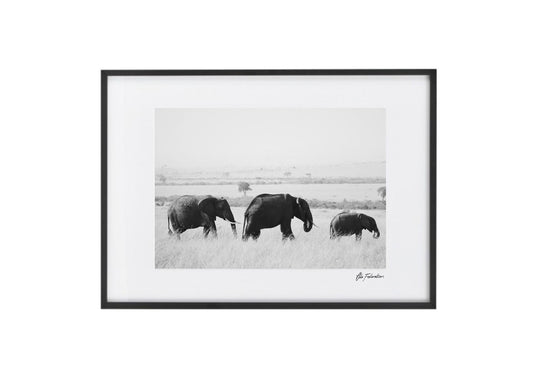 Elephant Print - Elephant Migration - Wall Art