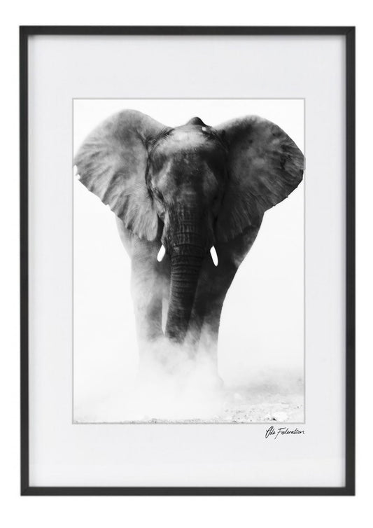 Elephant Print - Elephant in the Mist - Wall Art