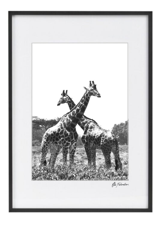 Giraffe Print - I have your back - Wall Art