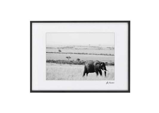 Elephant Print - Lone Ranger - Wall Art