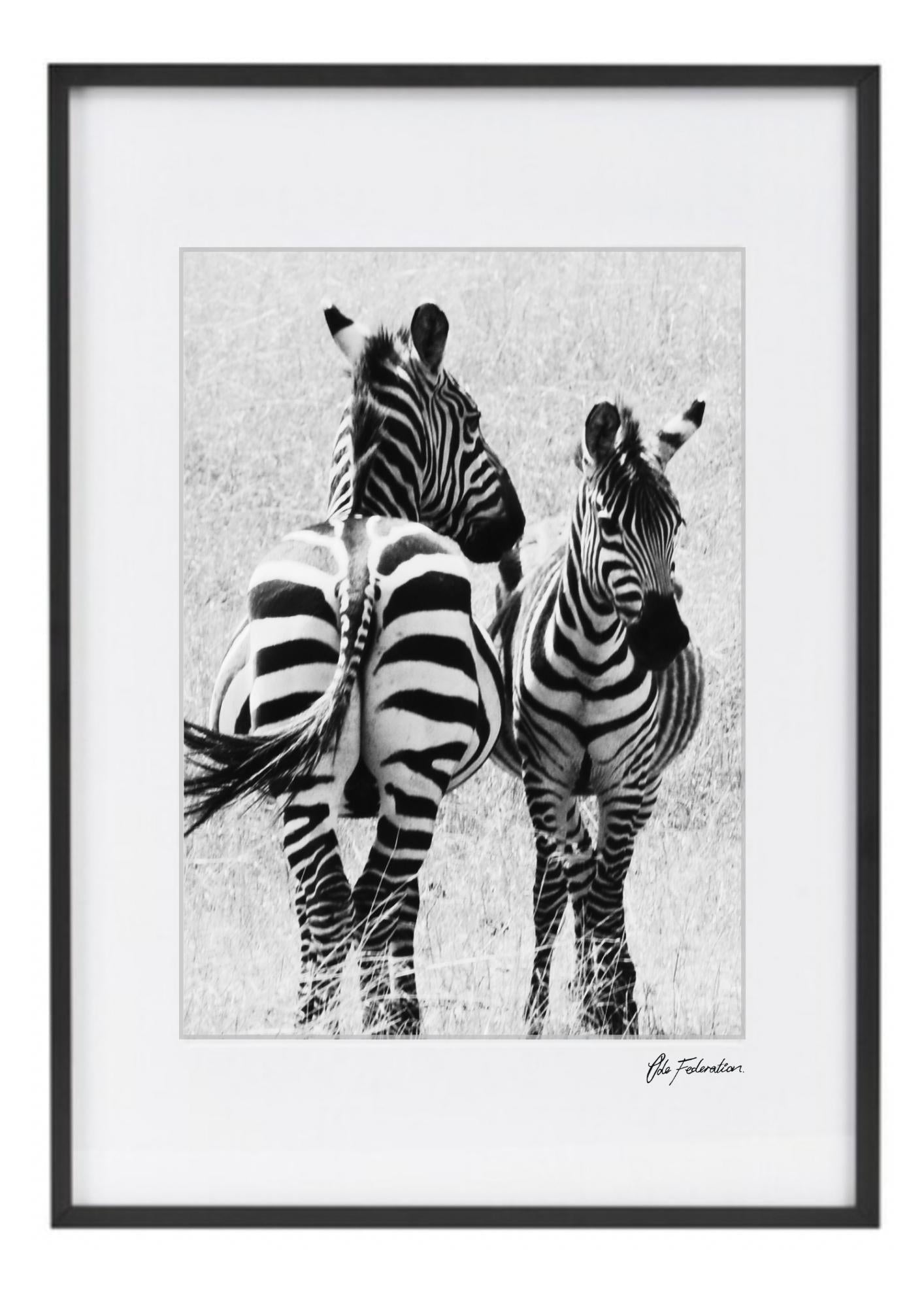 Zebra Print - Stand Strong - Wall Art